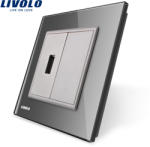 LIVOLO Priza USB Livolo cu rama din sticla - culoare gri