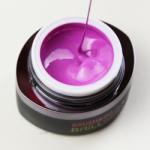 BRILLBIRD Brush&Go színes zselé - GO 100 - 4, 5ml