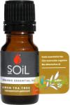 SOiL Ulei Esential de Arbore de Ceai Lamaios (Lemon Tea Tree) Ecologic/Bio 10ml