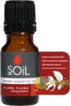 SOiL Ulei Esential de Ylang Ylang Ecologic/Bio 10ml