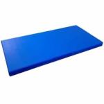 EvoGym ART Saltea gimnastica husa din PVC 200x100x7 cm albastru