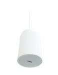 Omnitronic WP-10W (80710404) Hangfal