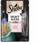 Sheba Nature s Collection teljes értékű nedves eledel felnőtt macskáknak mártásban lazaccal 85 g