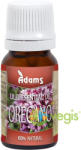 Zanna Ulei Esential de Oregano 10ml