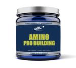 Pro Nutrition Amino Pro Building (200 tab. )