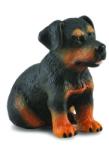 CollectA Catelus Rottweiler - Collecta (COL88190S) - ookee Figurina