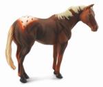 CollectA Armasar Castaniu - Collecta (COL88436XL) - bekid Figurina