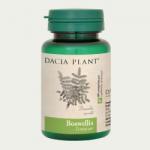 DACIA PLANT Boswellia 60 comprimate