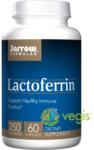 Jarrow Formulas Lactoferrin 60 comprimate