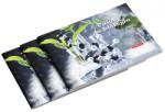Herlitz Caiet biologie, 24 file, Rock your School, 5 buc/set Herlitz PCKHZ9465740 (PCKHZ9465740)