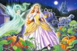 Castorland Maxi Cinderella 40 piese (040155) Puzzle