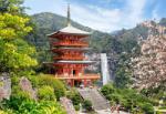 Castorland Seiganto-ji Temple, Japan - 1000 piese (103201) Puzzle