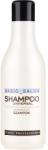 Stapiz Șampon - Stapiz Basic Salon Universal Shampoo 1000 ml