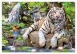 Educa White Bengale Tigers - 1000 piese (14808) Puzzle