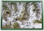 Georelief Harta regiunii Matterhorn, in cadru de lemn (in germana) (44652)