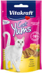 Vitakraft Cat Yums sajttal macskának 40 g - petissimo