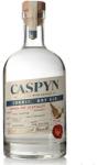 Pocketful of Stones Caspyn Cornish Dry Gin 40% 0,7 l