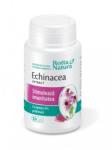 Rotta Natura Echinacea Extract 30 comprimate