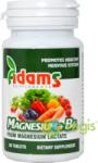Adams Vision Magneziu+B6 90tb