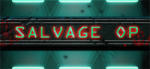 D.W.S. Salvage Op (PC) Jocuri PC