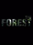 Endnight Studios The Forest (PC) Jocuri PC