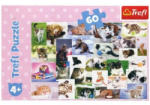Trefl Macska világ 60 db-os (17332)
