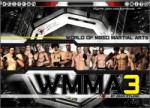 Viva Media WMMA 3 World of Mixed Martial Arts (PC) Jocuri PC