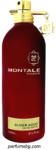 Montale Sliver Aoud EDP 100 ml Tester