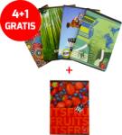 4+1 GRATIS Set 5 bucati Caiet A5 80 file matematica policromie Pigna (CAIP80PM/4+1GRATIS)