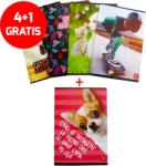 4+1 GRATIS Set 5 bucati Caiet A4 60 file linii policromie Pigna (CAIPS60PL/4+1GRATIS)