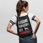  A legjobb barátom egy dobermann tornazsák (a_legjobb_baratom_egy_dobermann_tornazsak)