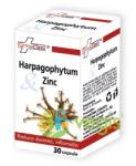 FarmaClass Harpagophytum & Zinc 30 comprimate