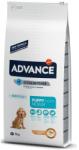 Affinity Advance Dog Medium Puppy - пилешко и ориз, високачествена храна за подрастващи кучета от средните породи, до 1 година, Испания - 12 кг