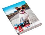 Herlitz Caiet A5, 48 file, patratele, colturi rotunjite, motiv Cool Dog, diverse modele HZ9480650 (9480650)