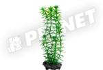 Tetra DecoArt Anacharis Small 15 cm