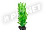 Tetra DecoArt Hygrophila Small 15 cm