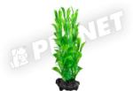 Tetra DecoArt Hygrophila Small 15cm