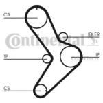 CONTITECH Curea distributie RENAULT MASTER I bus (T) (1980 - 1998) CONTITECH CT731