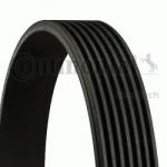 CONTITECH Curea transmisie cu caneluri NISSAN MICRA III (K12) (2003 - 2010) CONTITECH 7PK1145