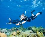  SSI Sznorkel tanfolyam | Snorkel Diver