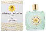 Atkinsons English Lavender EDT 320 ml Parfum