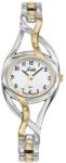 Certus 634007