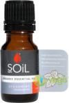 SOiL Ulei Esential de Menta Creata (Spearmint) Ecologic/Bio 10ml