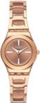 Swatch YSG150 Ceas