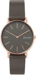 Skagen SKW2794 Ceas