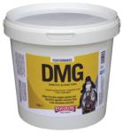  DMG - Dimetilglicin por állatgyógyászati gyógyhatású termék 1 kg