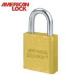American lock Катинар 20 (al 20)