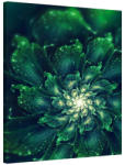 AA Design Tablou verde echeveria Verdant Spiral (FLO198)