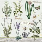 Ambiente Herbs Garden papírszalvéta 33x33cm, 20db-os - szep-otthon