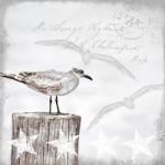 Ambiente Seagulls papírszalvéta 33x33cm, 20db-os